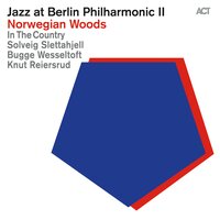 Take It with Me - Solveig Slettahjell, Bugge Wesseltoft, Knut Reiersrud