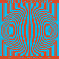 Bad Vibrations - The Black Angels
