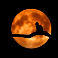Planet in Flux - Sleepy Times, Spa & Spa, Massage Music, Spa & Spa, Massage Music