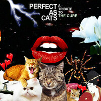 Close to Me - Kaki King