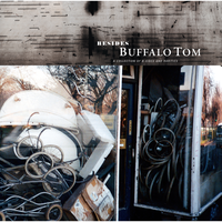 The Spider And The Fly - Buffalo Tom
