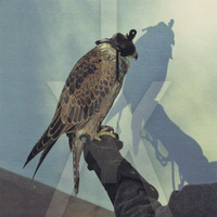 Coalition - Iceage