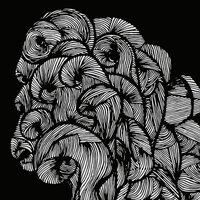 Disparity - Svalbard