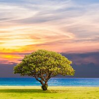 Soft Sprinkles - Deep Sleep Relaxation, Serenity Spa Music Relaxation, White Noise - Baby Sleep Specialists