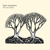 Same Mistakes - Paper Aeroplanes