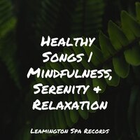 Lullaby - Sounds Of Nature Relaxation, Sleep Waves, Internal Yoga