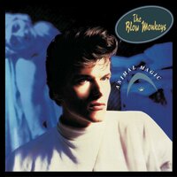 The Blow Monkeys