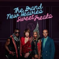 Sledgehammer - The Brand New Heavies