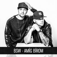 A Ti Gondotok - BSW