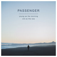 Beautiful Birds - Passenger, Birdy