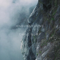 Who Let the Pigs Out - Ondubground, Chill Bump