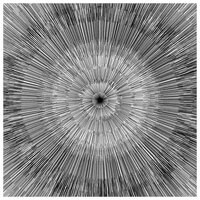 I've Got a Future - Toydrum, Gavin Clark, Nick Cave
