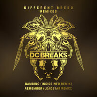 Remember - Dc Breaks, Loadstar