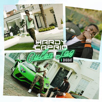 Guten Tag - Hardy Caprio, DigDat