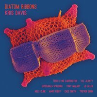 The Very Thing - Kris Davis, Esperanza Spalding, Tony Malaby