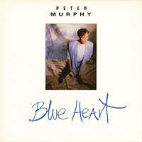 Canvas Beauty - Peter Murphy