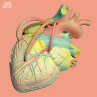 Human Mind - Kiha & The Faces
