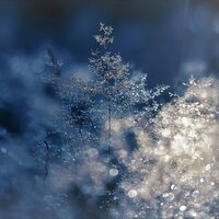 In Your Heart - Instrumental Guitar Music, Spiritual Fitness Music, Sounds of Nature White Noise for Mindfulness Meditation and Relaxation