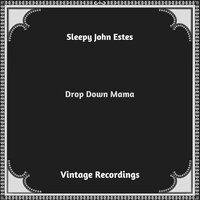 Sleepy John Estes