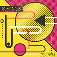 Sponge