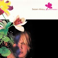 Aşktan Ne Haber - Sezen Aksu