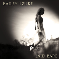 Caution To The Wind - Bailey Tzuke