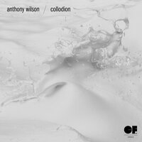 Anthony Wilson