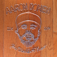 Ain't Shit - Aaron Cohen