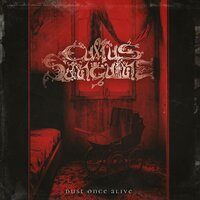 Cultus Sanguine