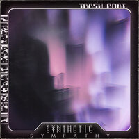 Synthetic Sympathy - Trash Boat