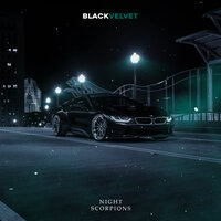 Black Velvet