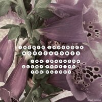 Ingrid Laubrock