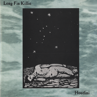 Long Fin Killie