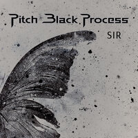 Zahid Bizi Tan Eyleme - Pitch Black Process, Hayko Cepkin
