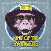 The Swing Ninjas