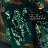 Circus of Fools