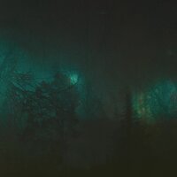 Bereft