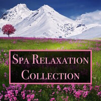 Lakeside Wonders - Rest & Relax Nature Sound Artists, Relaxmydog and Sounds of Nature Relaxation, RelaxMyDog, Sounds Of Nature Relaxation