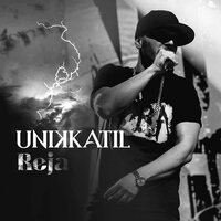 Unikkatil
