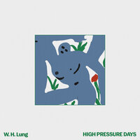 W. H. Lung