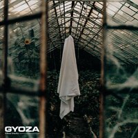 Gyoza
