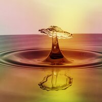 Humid Traces - Sounds Of Nature Relaxation, Calming Music Academy, Sleepy Times