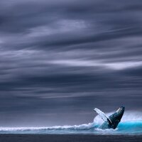 Timeless Mist - Sleep Sounds Rain, Rain Sounds Factory STHLM, Healing Sounds for Deep Sleep and Relaxation