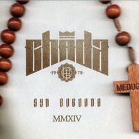 Nigdy poniżej oczekiwań - Chada