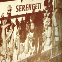 Tom Dooley - Serengeti, Advance Base