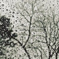 Drizzle Soundscape - Rain Hard, Study Music, Rainforest, Study Music, Rainforest