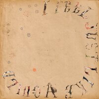 Shame - Devendra Banhart