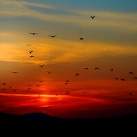 Time out - Relaxing Music Therapy, Nature Sound Series, Yoga Tribe