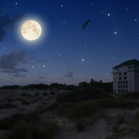 Sit Back and Relax - Spa Relaxation, Healing Therapy Music, Relaxing Mindfulness Meditation Relaxation Maestro