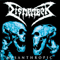 Afterimage - Dismember